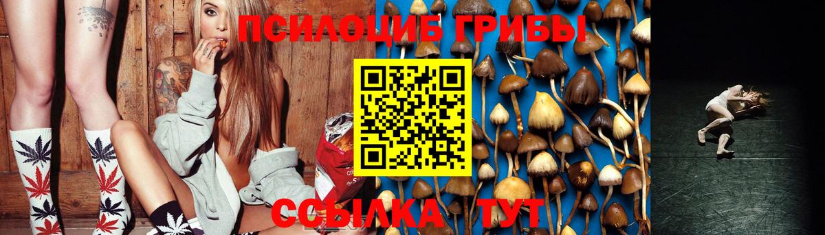 Галлюциногенные грибы Psilocybine cubensis  Вход с VPN  Коркино 